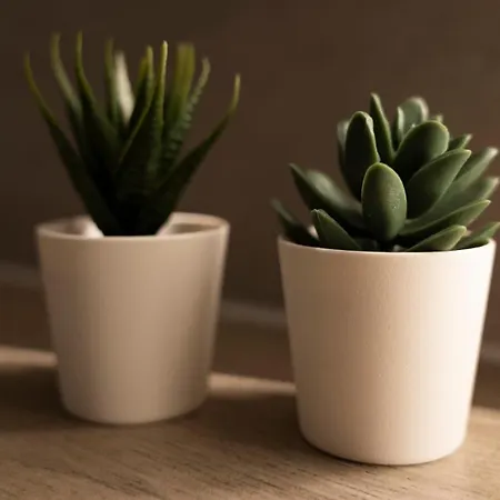 Md-6 Buckau Karl-schmidt-strasse 22 Ausstattung - Smart Tv - 2schlafzimmer -5 Min Zum Zentrum Apartment *